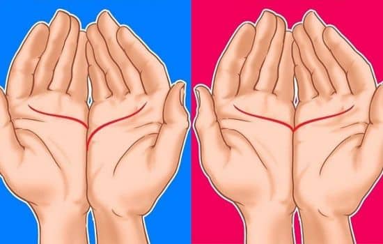 Aplicaciones para Leer la Mano: Descubre tu Futuro