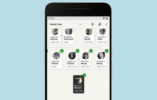 Descubre tus Raíces: Apps para Crear tu Árbol Genealógico