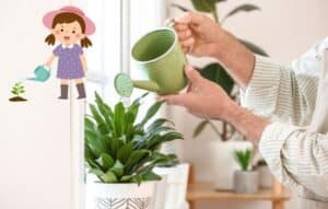 Tu conexión con la naturaleza: transforma el cuidado de las plantas